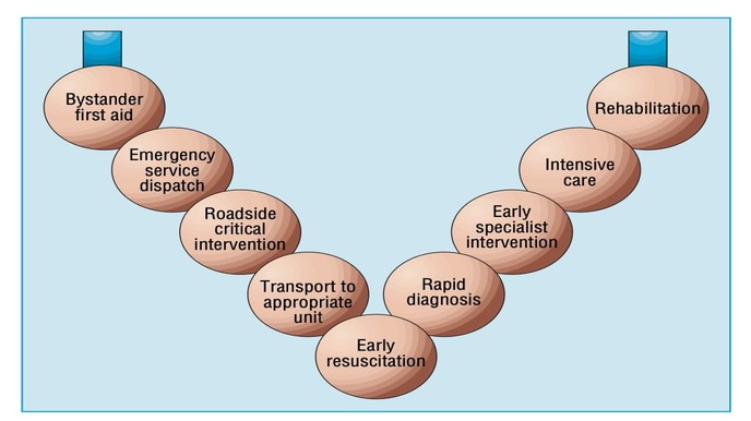 Figure 1 - Trauma chain diagram